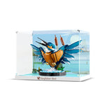 Display Case for Kingfisher Bird 10331