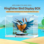 Display Case for Kingfisher Bird 10331