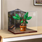 Display Case for Mandrake 76433