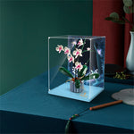 Display Case for Orchid 10311