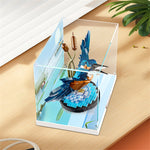 Display Case for Kingfisher Bird 10331