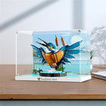 Display Case for Kingfisher Bird 10331