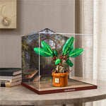 Display Case for Mandrake 76433