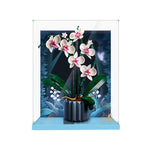 Display Case for Orchid 10311